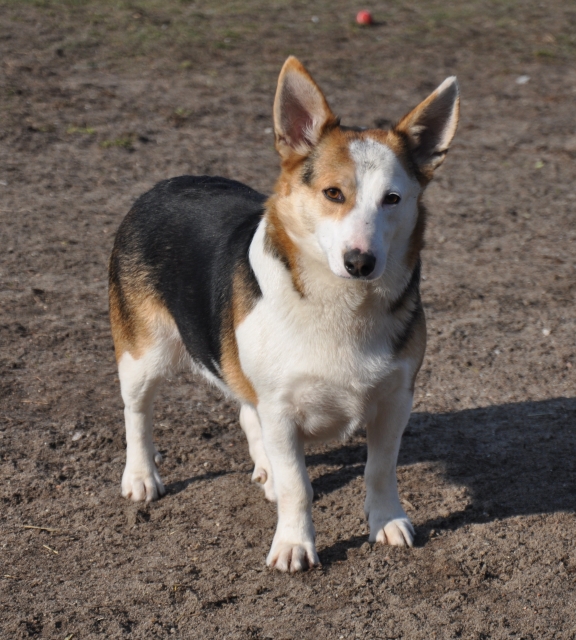 Zosia 