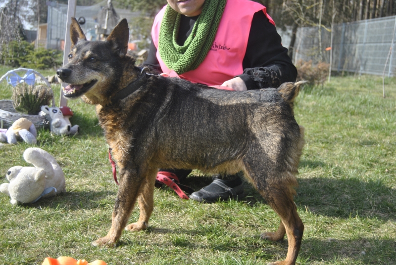Hugo