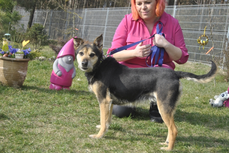 Czarna 