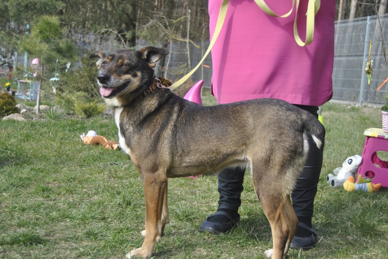 Mocca 